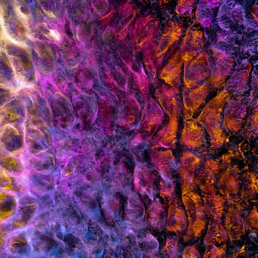 Vibrant psychedelic abstract art with swirling textures in yellow, magenta, purple, and gold tones