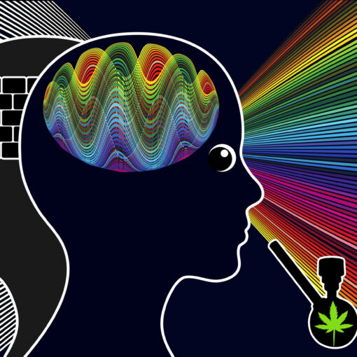Two silhouetted heads: one with a brick wall brain, one with colorful psychedelic brain waves, holding a cannabis bong.